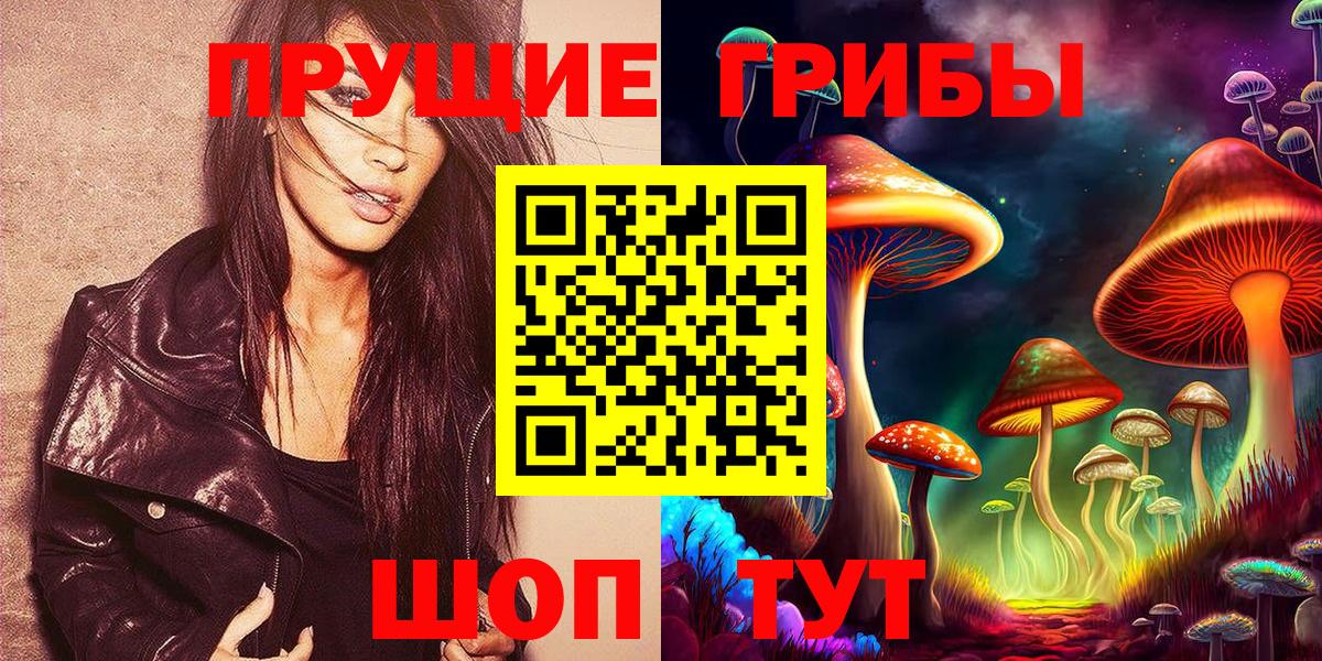 Сыктывкар  Галлюциногенные грибы Psilocybe  Вход с VPN 
